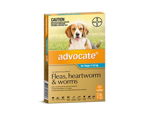 ADVOCATE BLUE FOR DOGS 4-10KG - 6 PACK