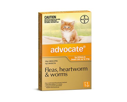 ADVOCATE CAT SML UP TO 0-4KG 1PK
