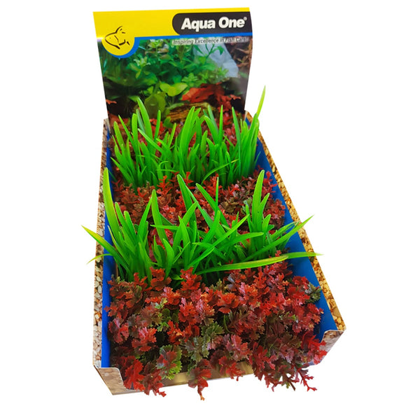 AQUAONE ECOSCAPE FOREGROUND CATSPAW R/LILAEOPISIS GN MIX PUNNET (1 PLANT)