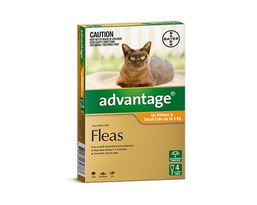 ADVANTAGE SMALL CAT UP TO 4KG