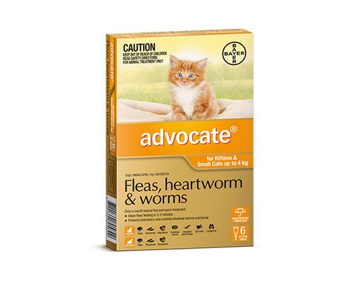 ADVOCATE CATS UNDER 4KG - 6 PACK