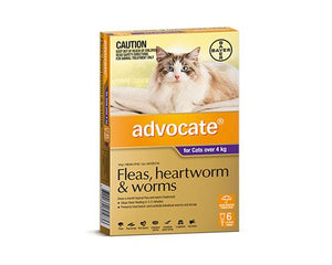 ADVOCATE PURPLE CATS > 4KG 6PK