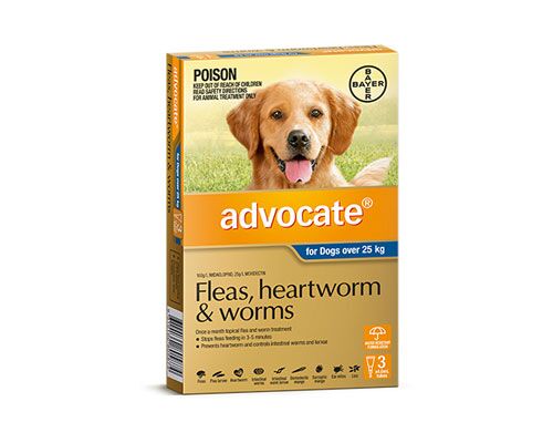 ADVOCATE BLUE FOR DOGS OVER 25KG 3PK