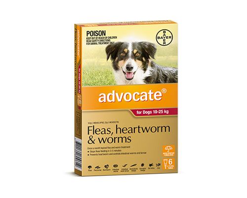 ADVOCATE FOR DOGS 10-25KG - 6 PACK