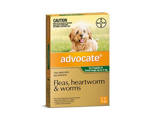 ADVOCATE DOG SML UP TO 4KG 1PK