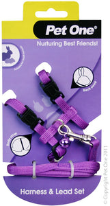 LEAD & HARNESS PURPLE RABBIT