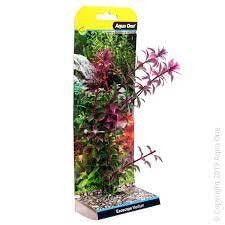 AQUA ONE ECOSCAPE MEDIUM ROTALA RED