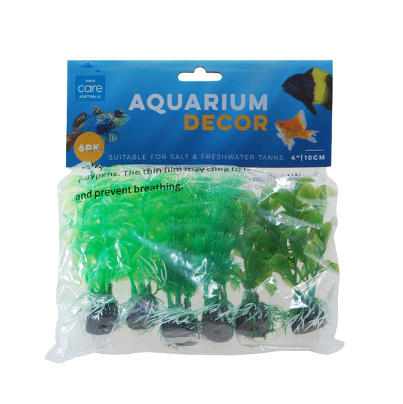PLANT PACK GREEN COLOUR SMALL 6PK