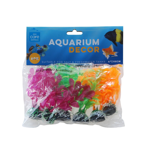 PLANT PACK MULTI COLOUR SMALL 6PACK