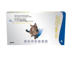 REVOLUTION CAT BLUE 6PK