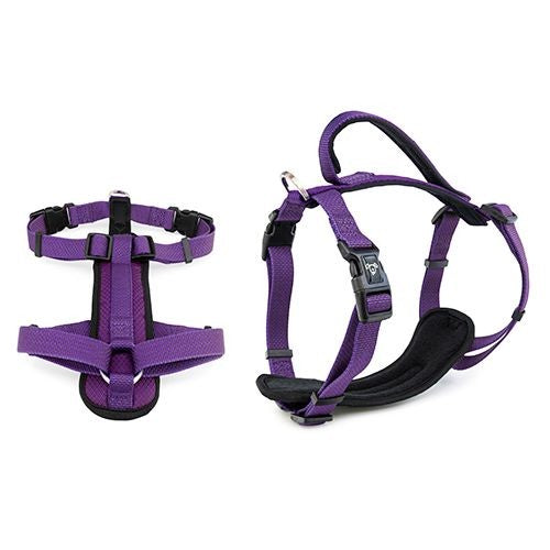 PREMIUM HARNESS 20MM X 50-65CM PURPLE MEDIUM