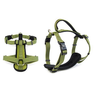 PREMIUM HARNESS 20MM X 50-65CM GREEN MEDIUM