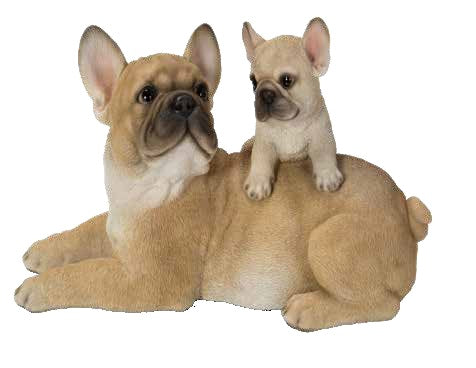 FRENCH BULLDOG WITH PUPPY