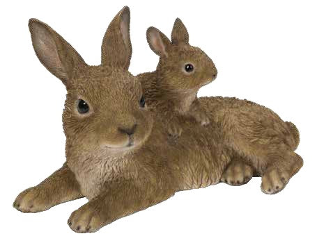 MOTHER AND BABY RABBIT
