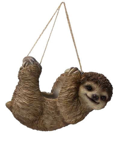 sloths hanging