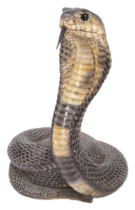 KING COBRA 23X23X32.5CM