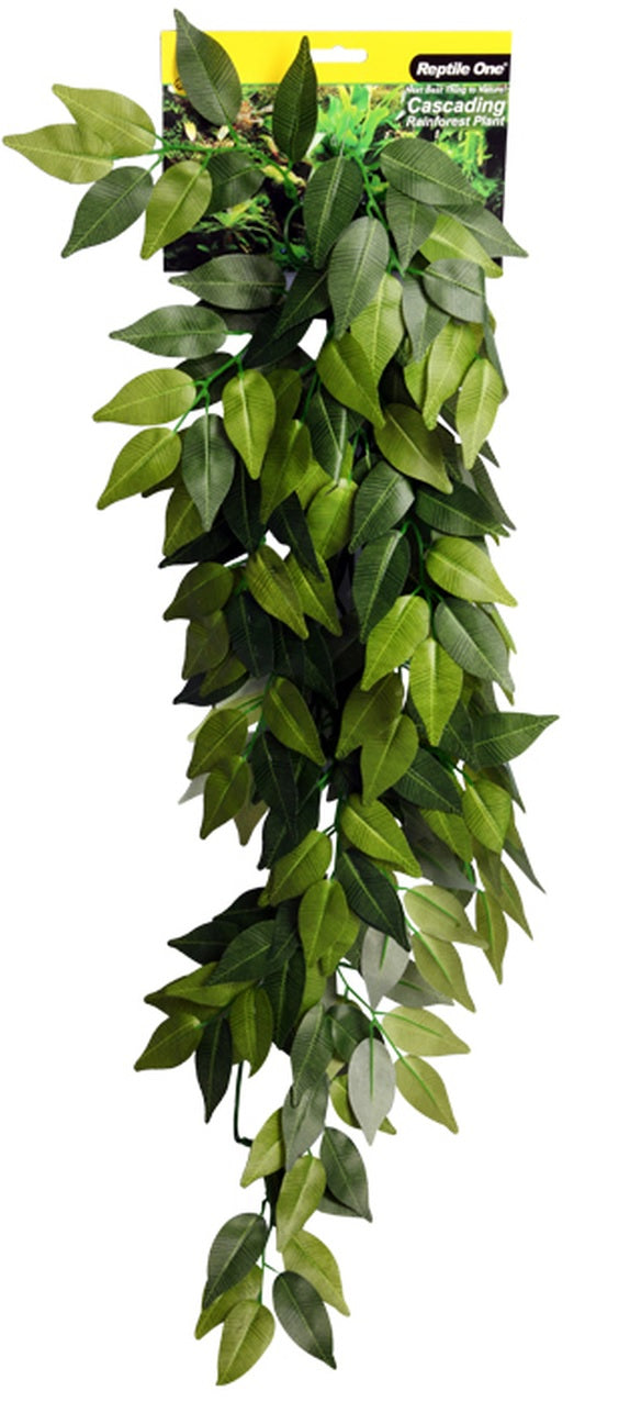 REPTILE ONE VARIGATED IVY CASCADING PLANT 72CM GREEN